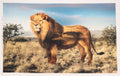 Wild Safari Lion Quilt Fabric Panel
