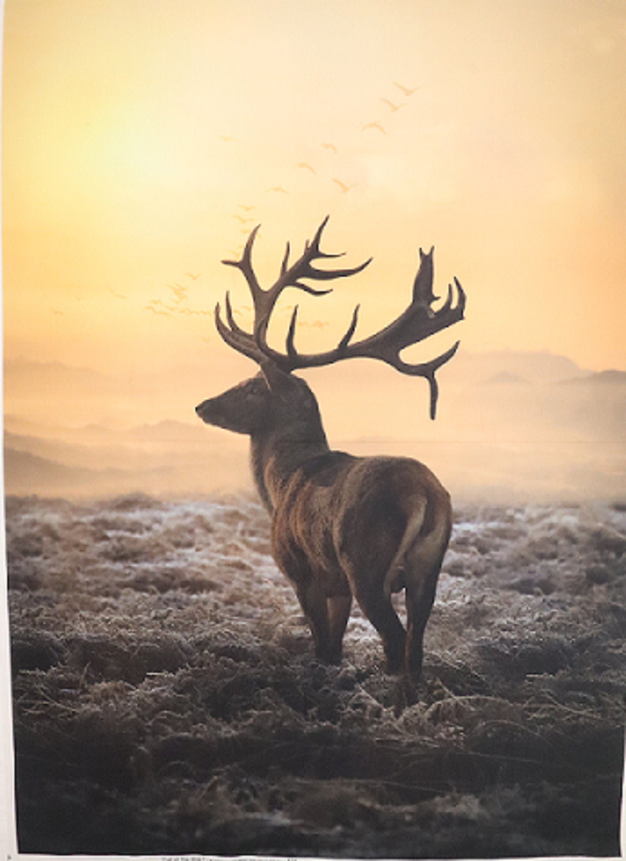 Call of the Wild "Sunset" Fabric Panel by Hoffman Fabrics