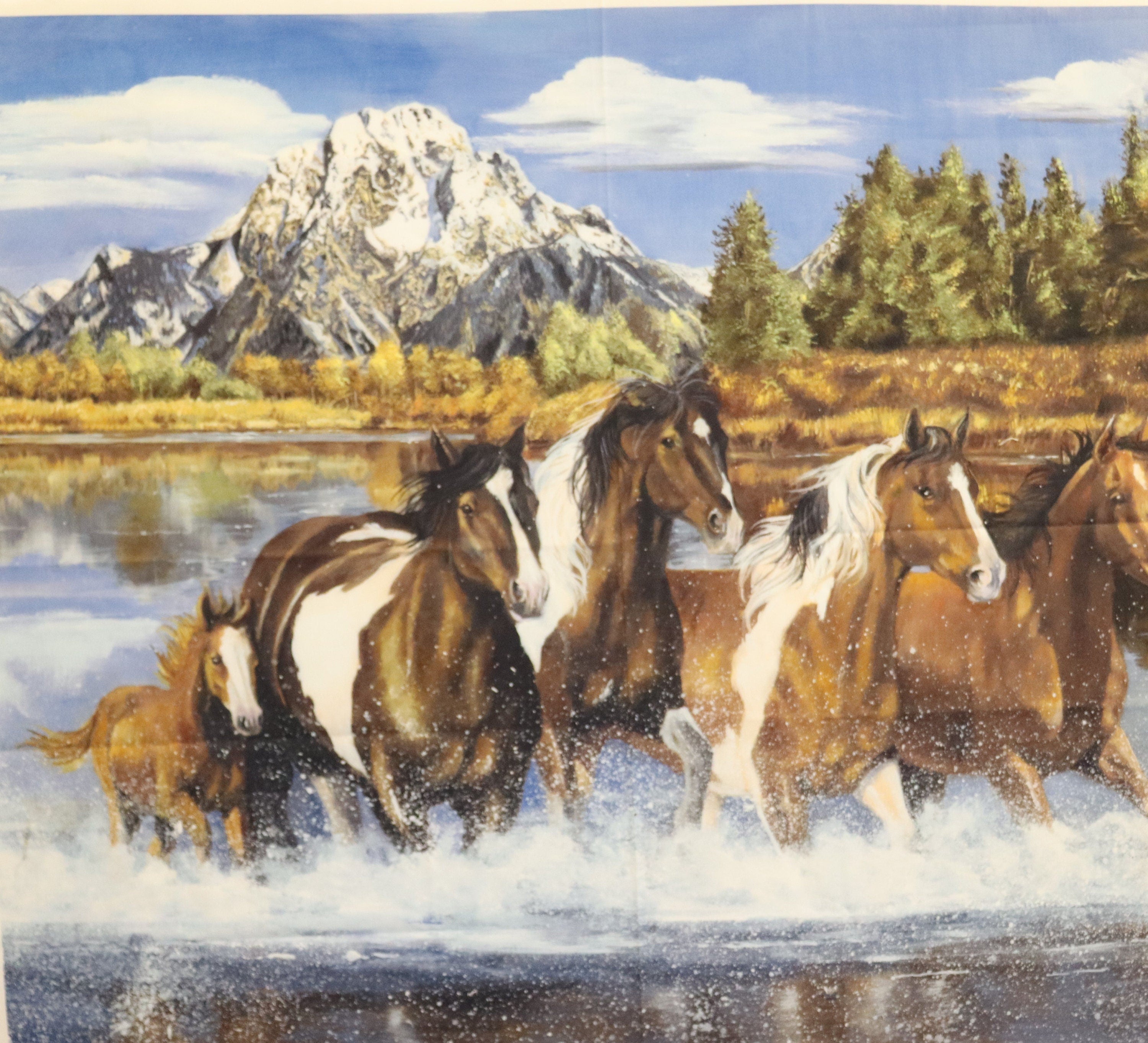 Ride the Range Going Home Quilt Fabric Panel By Riley Blake