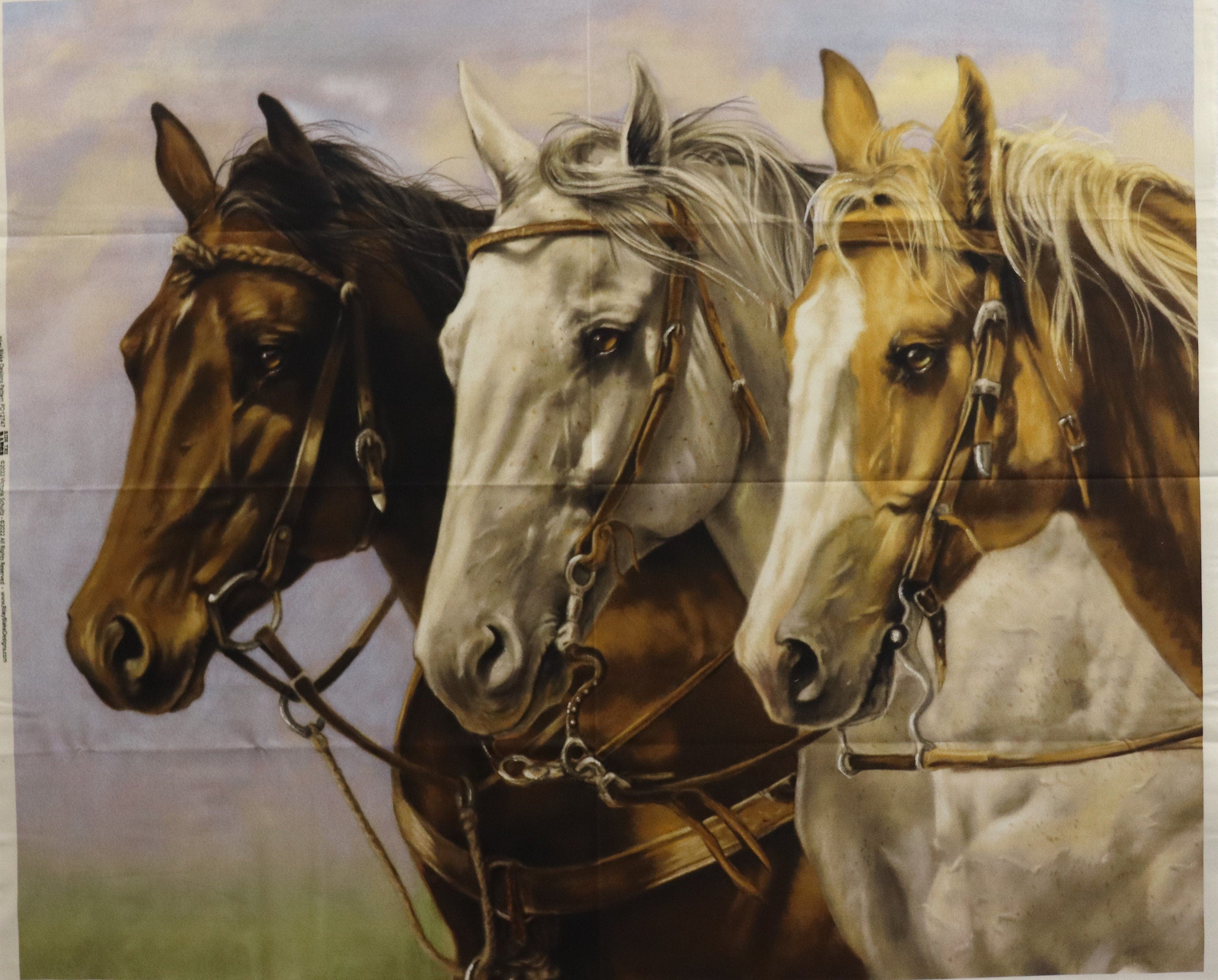 Ride the Range Three of a Kind Quilt Fabric Panel By Riley Blake