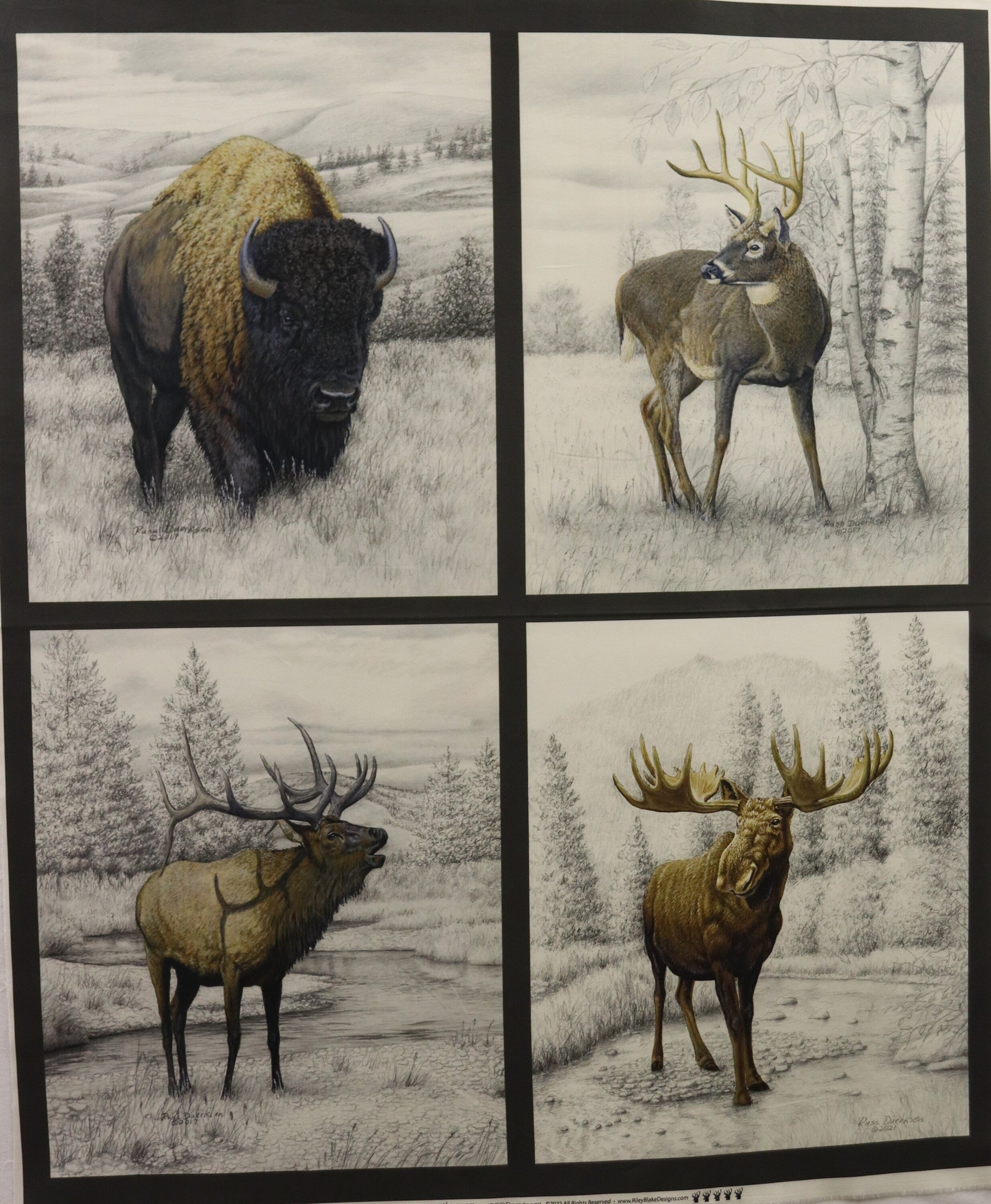 Big Game Pillow Panel by Riley Blake Fabrics