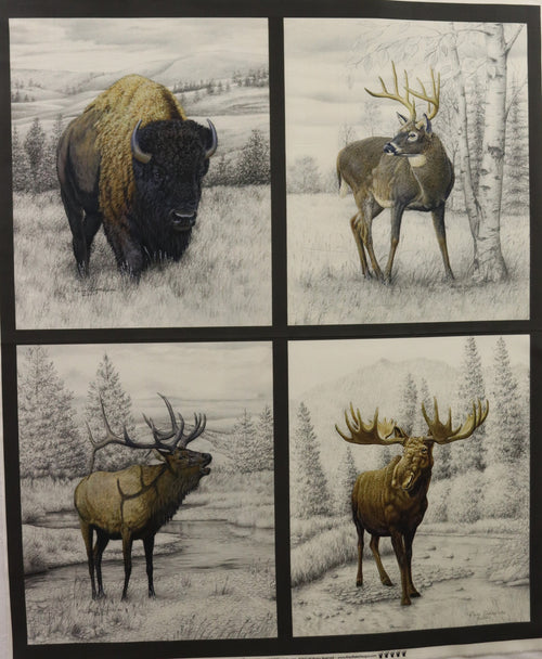 Big Game Pillow Panel By Riley Blake Fabrics