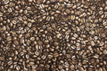 Packed Coffee Beans Quilt Fabric by Timeless Treasures
