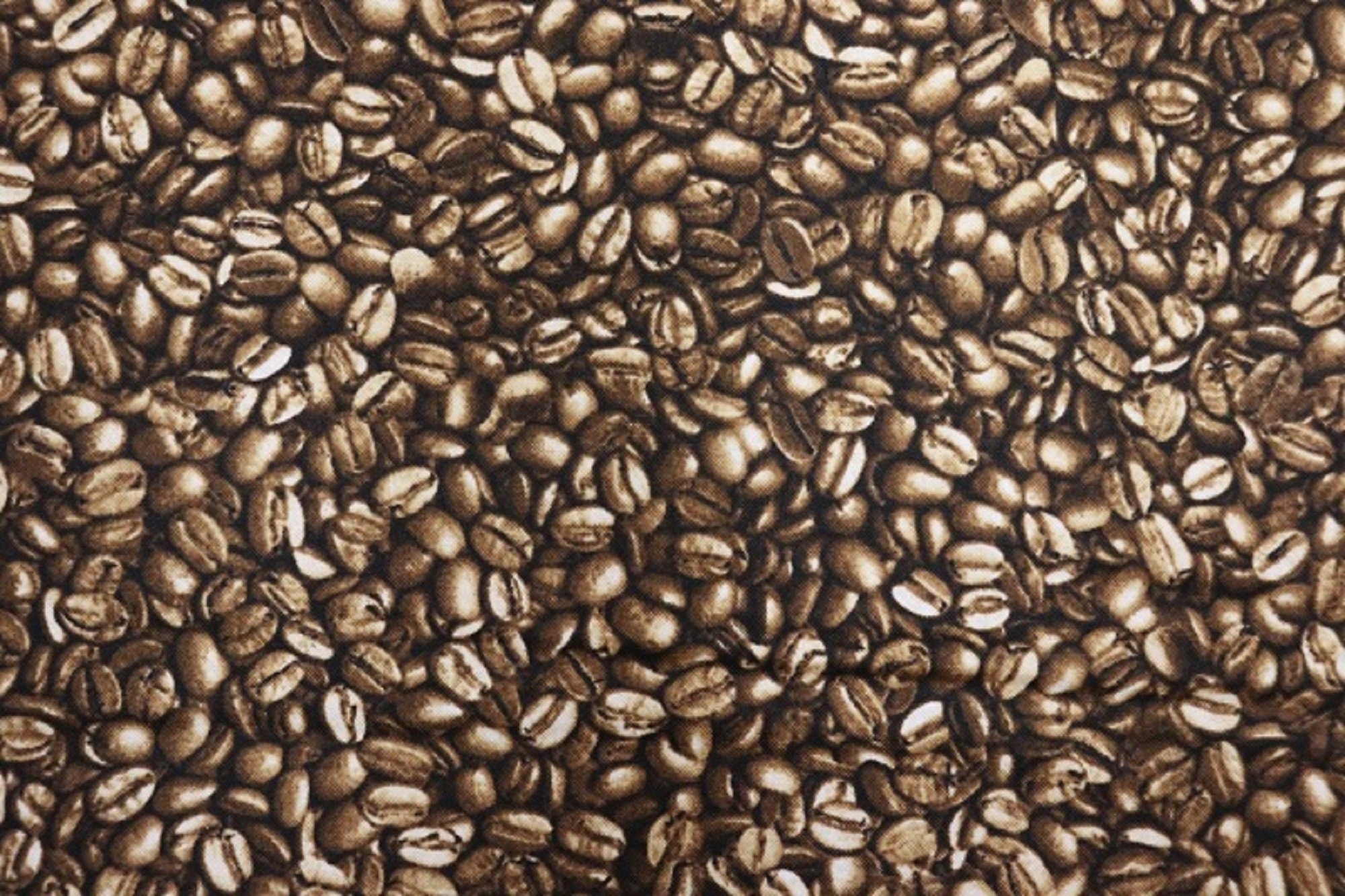 Packed Coffee Beans Quilt Fabric by Timeless Treasures