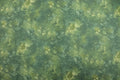 Solid-Ish Green Quilt Fabric by Timeless Treasures