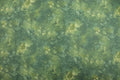 Solid-Ish Green Quilt Fabric by Timeless Treasures
