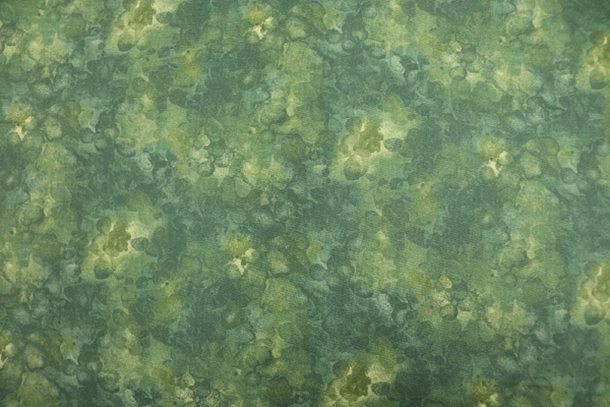 Solid-Ish Green Quilt Fabric by Timeless Treasures