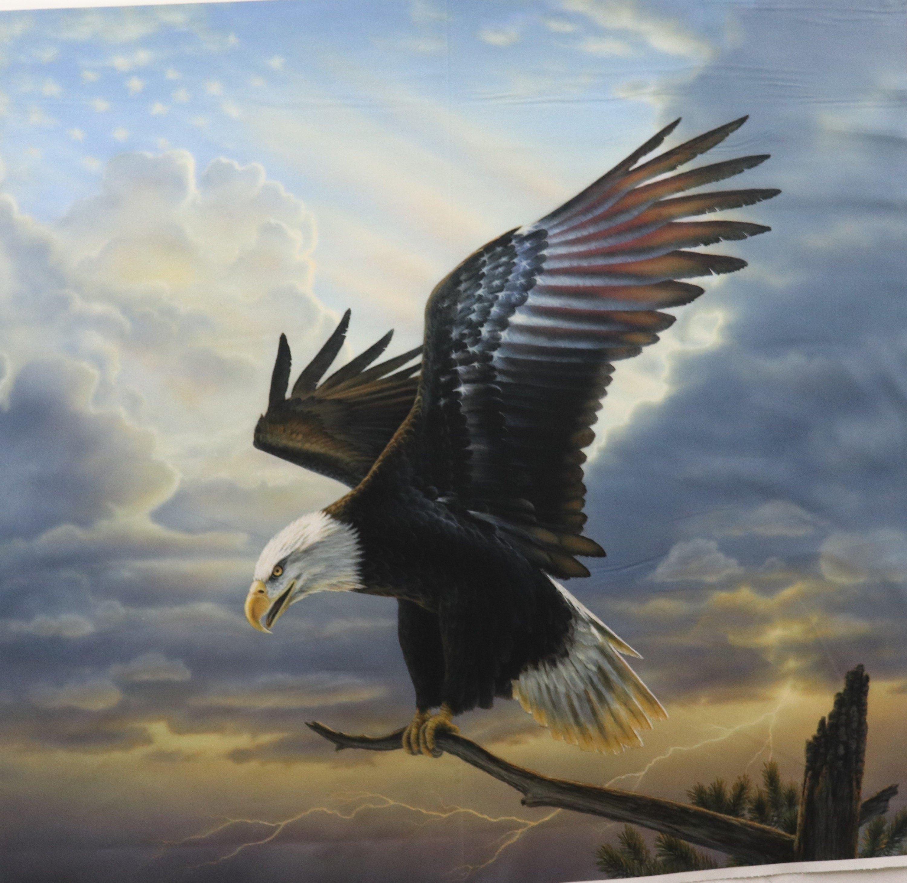 Winged Glory Eagle Quilt Fabric Panel by Northcott Fabrics