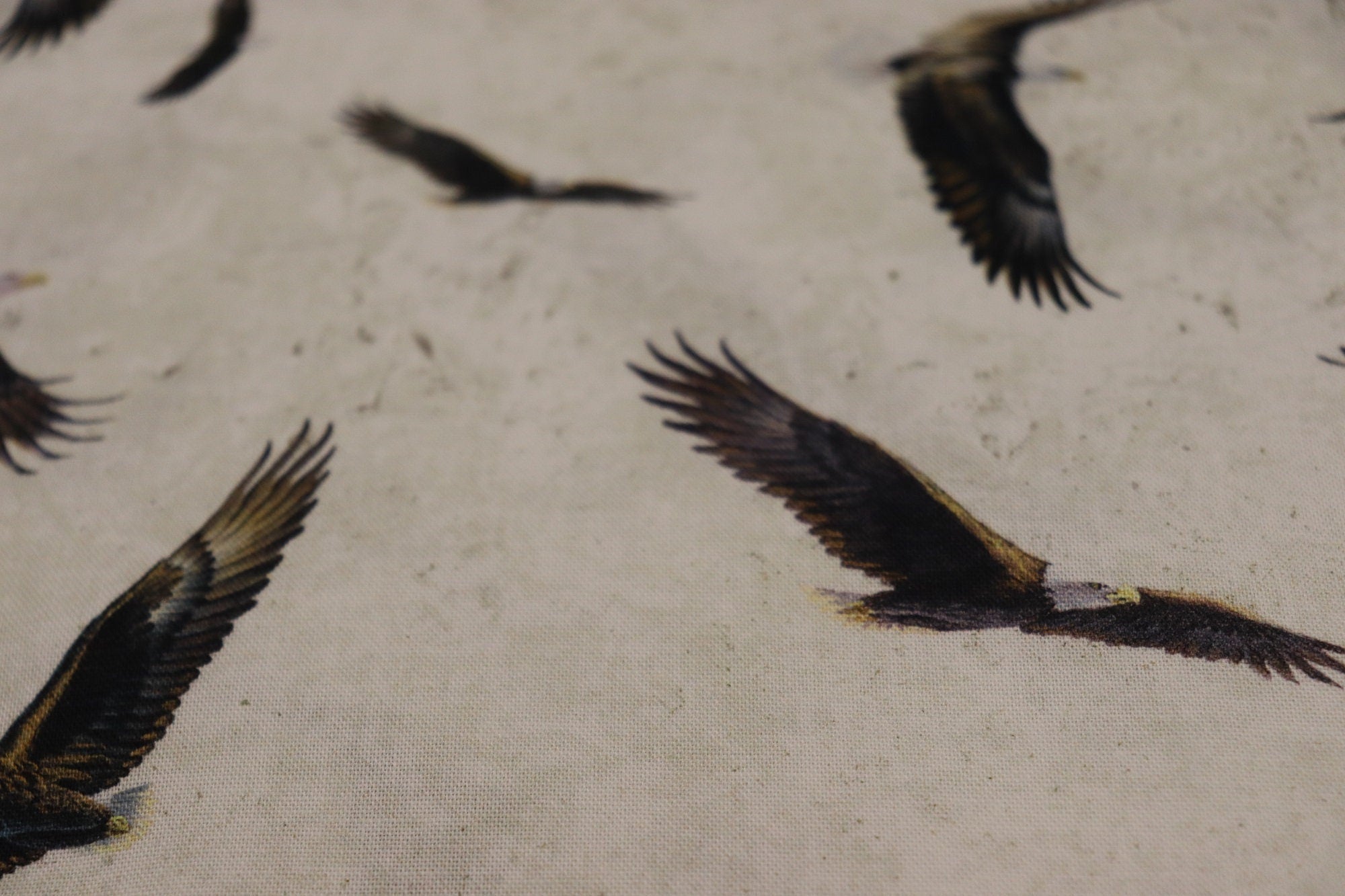 Winged Glory White Eagle Toss Quilt Fabric by Northcott Fabrics
