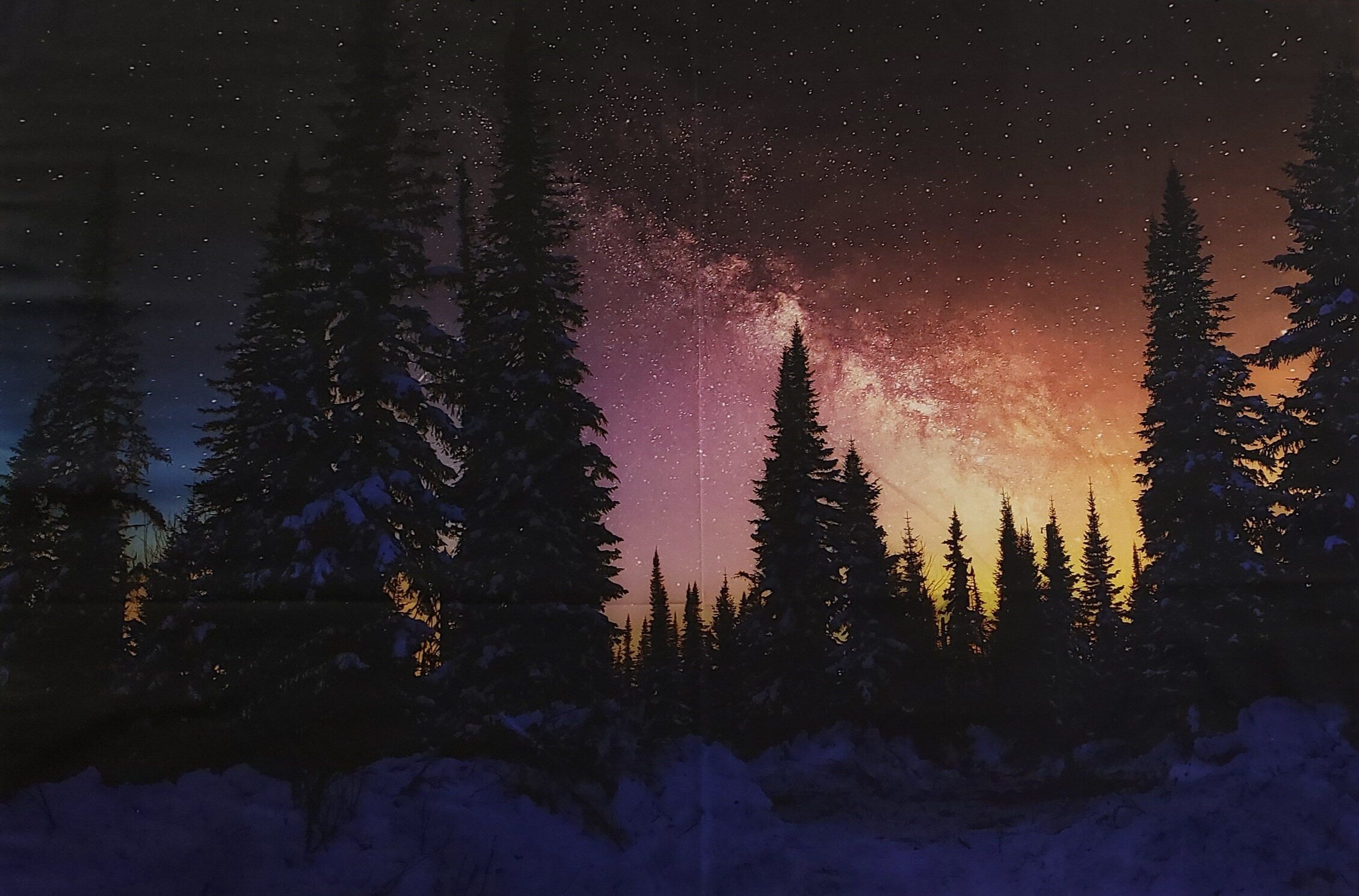 Nightshade "Twilight" Quilt Fabric Panel By Hoffman Fabric