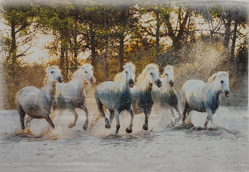 Call of the Wild Running Horses Fabric Panel-"Rusty" Hoffman Fabrics