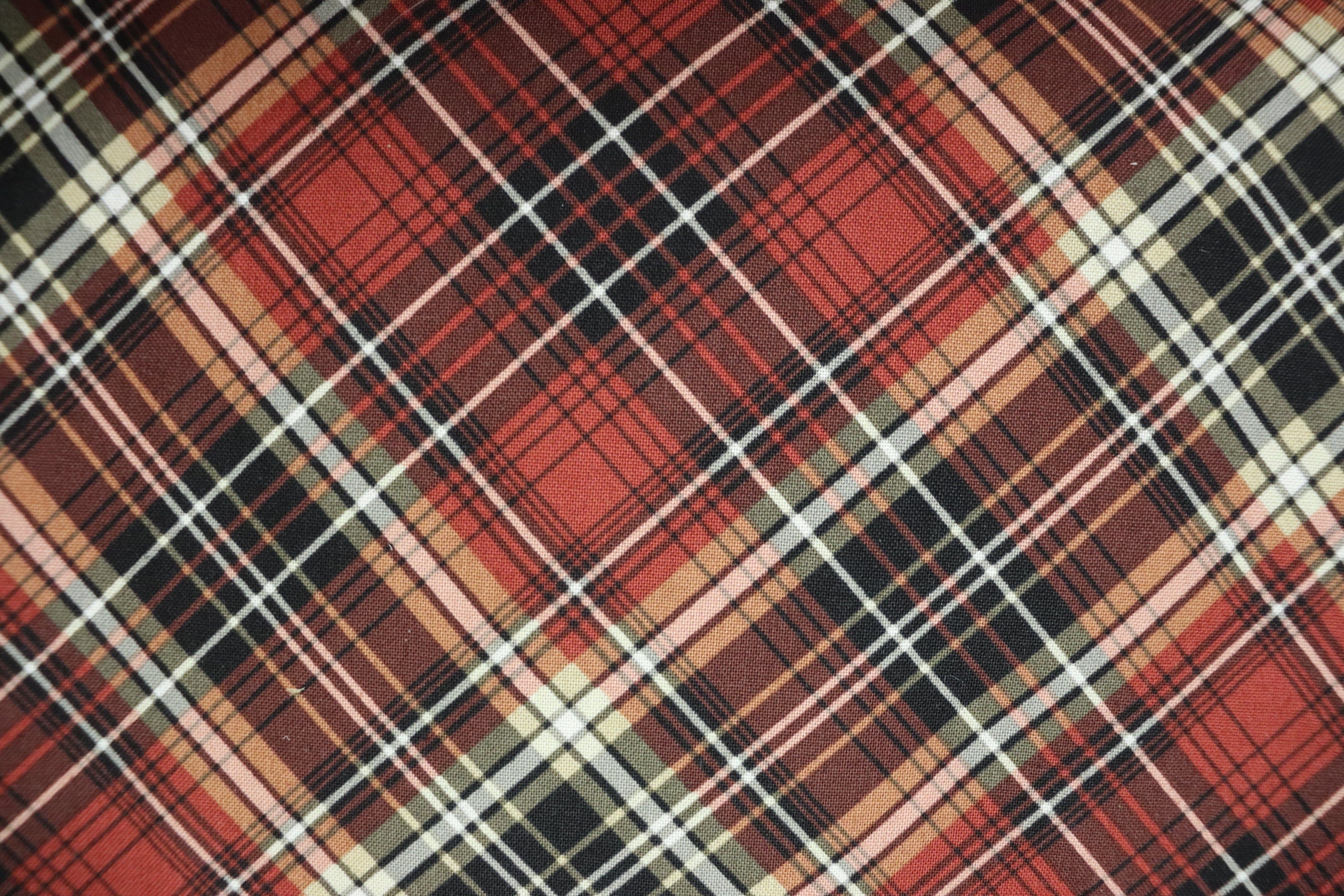 For the Love of Pete Dogs Red Multi Plaid Quilt Fabric By Northcott Fabrics
