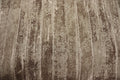 First Frost Wood Planks Quilt Fabric By Northcott Fabrics