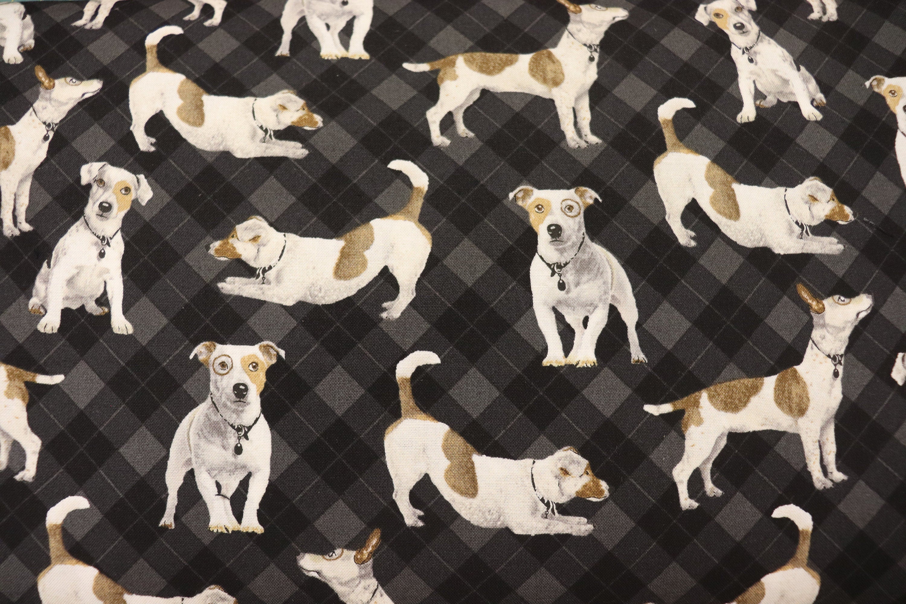 For the Love of Pete Dogs Allover Black Quilt Fabric By Northcott Fabrics