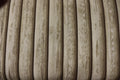 For the Love of Pete Dogs Wood Planks Quilt Fabric By Northcott Fabrics