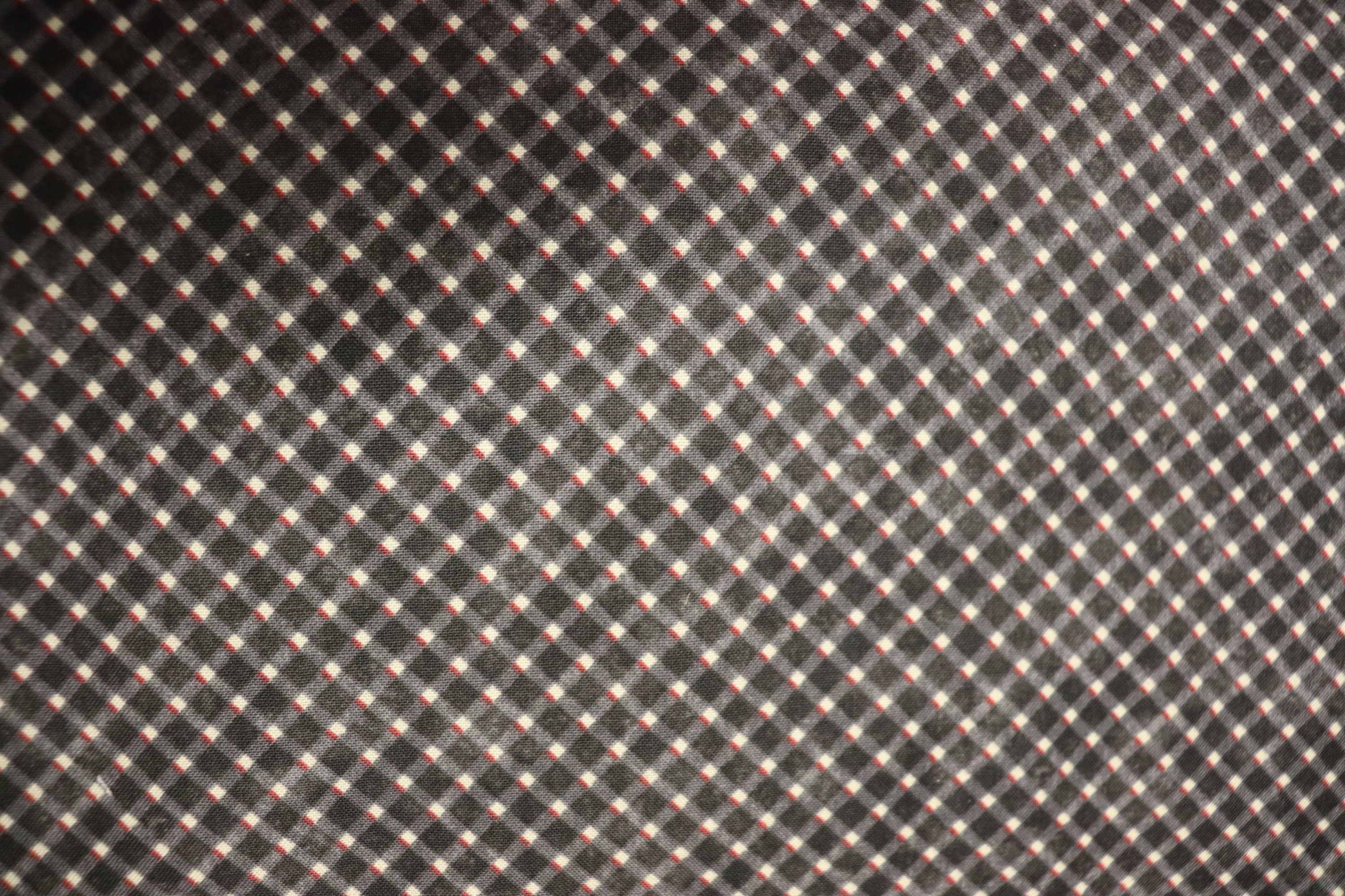 For the Love of Pete, Dogs Ditsy Dot Black Quilt Fabric By Northcott Fabrics