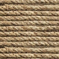 On the Range Rope Quilt Fabric By Hoffman Fabrics