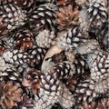Tree Farm Pinecones Quilt Fabric by Hoffman Fabrics