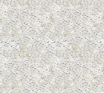 First Light Naturescapes Tan With Specks Quilt Fabric By Northcott Fabrics