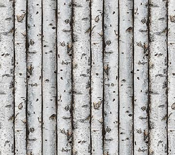 First Light Naturescapes Tree Bark Quilt Fabric By Northcott Fabrics
