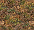 First Light Naturescapes Fall Leaves on the Ground Quilt Fabric By Northcott Fabrics