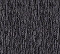 First Light Naturescapes Dark Tree Bark Quilt Fabric By Northcott Fabrics