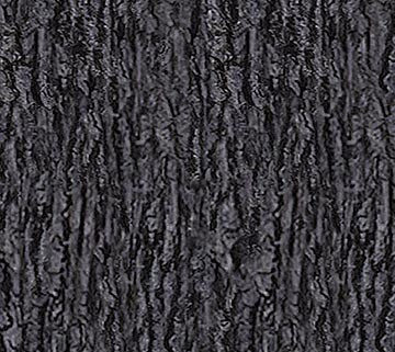 First Light Naturescapes Dark Tree Bark Quilt Fabric By Northcott Fabrics