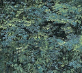 Moonlight Kisses Naturescapes Trees Quilt Fabric By Northcott Fabrics