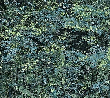 Moonlight Kisses Naturescapes Trees Quilt Fabric By Northcott Fabrics
