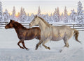 Call of the Wild Mustangs Sunset Fabric Panel Rusty Hoffman Fabric