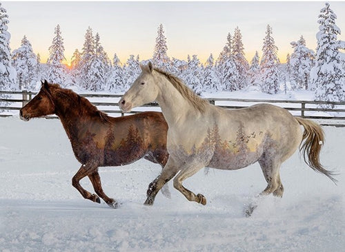 Call Of The Wild Mustangs "Sunset" Panel Hoffman Spectrum Print ~ Hoffman Fabrics