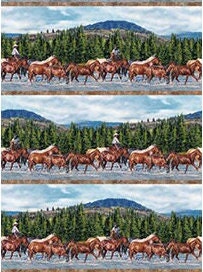 Hidden Valley Boarder Stripe Quilt Fabric By Northcott Fabrics