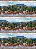 Hidden Valley Boarder Stripe Quilt Fabric By Northcott Fabrics