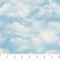 Hidden Valley Clouds Quilt Fabric by Northcott Fabrics