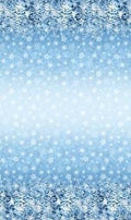 All That Glitters Running Snow and Silver Glitter Quilt Fabric By Northcott Fabrics