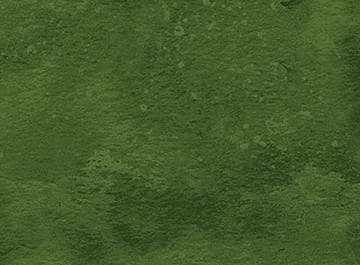 Toscana Hemlock Quilt Fabric by Northcott Fabrics