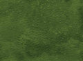 Toscana Hemlock Quilt Fabric by Northcott Fabrics