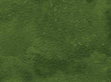 Toscana Hemlock Quilt Fabric by Northcott Fabrics