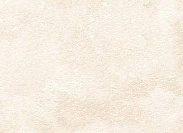 Toscana Vanilla Quilt Fabric by Northcott Fabrics