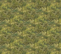 Northwood Naturescapes Green Foliage Quilt Fabric by Northcott Fabrics