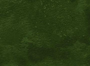 Toscana Basil Quilt Fabric by Northcott Fabrics