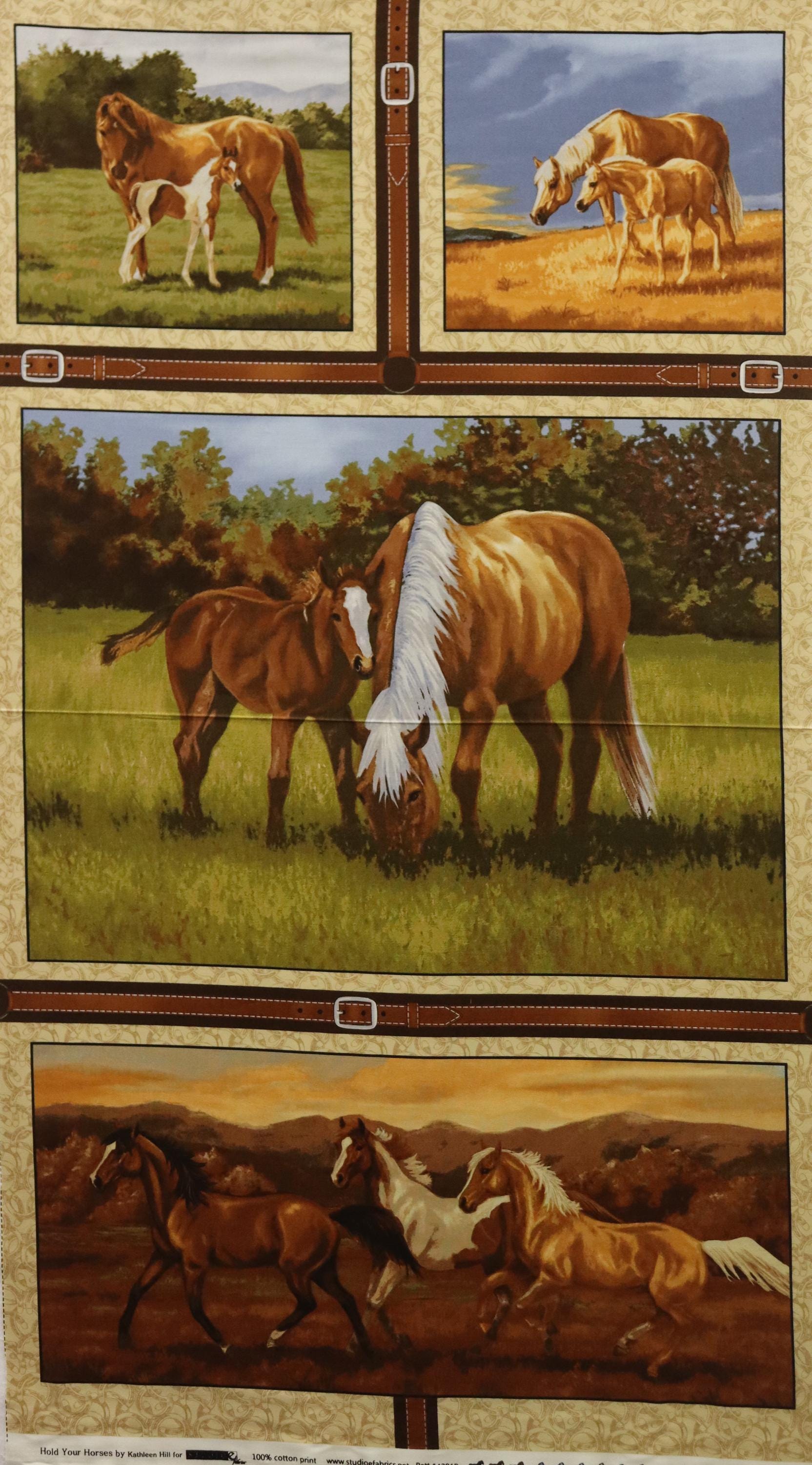 Hold Your Horses Quilt Fabric Panel By Studio E Fabrics
