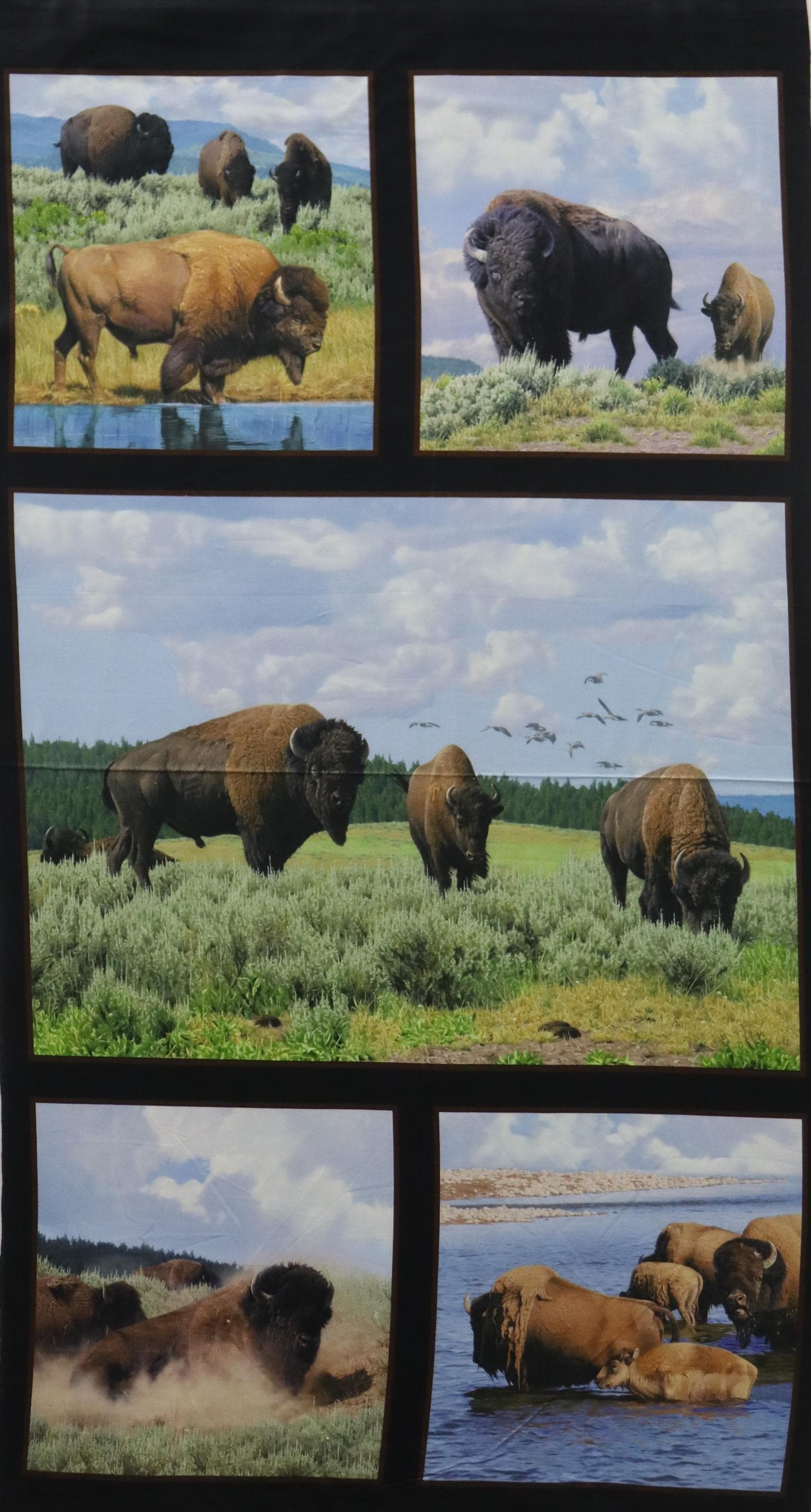 Buffalo Quilt Fabric Panel By Elizabeth Studio