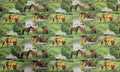 Summer Horse Scenic Quilt Fabric By Spring Creatives
