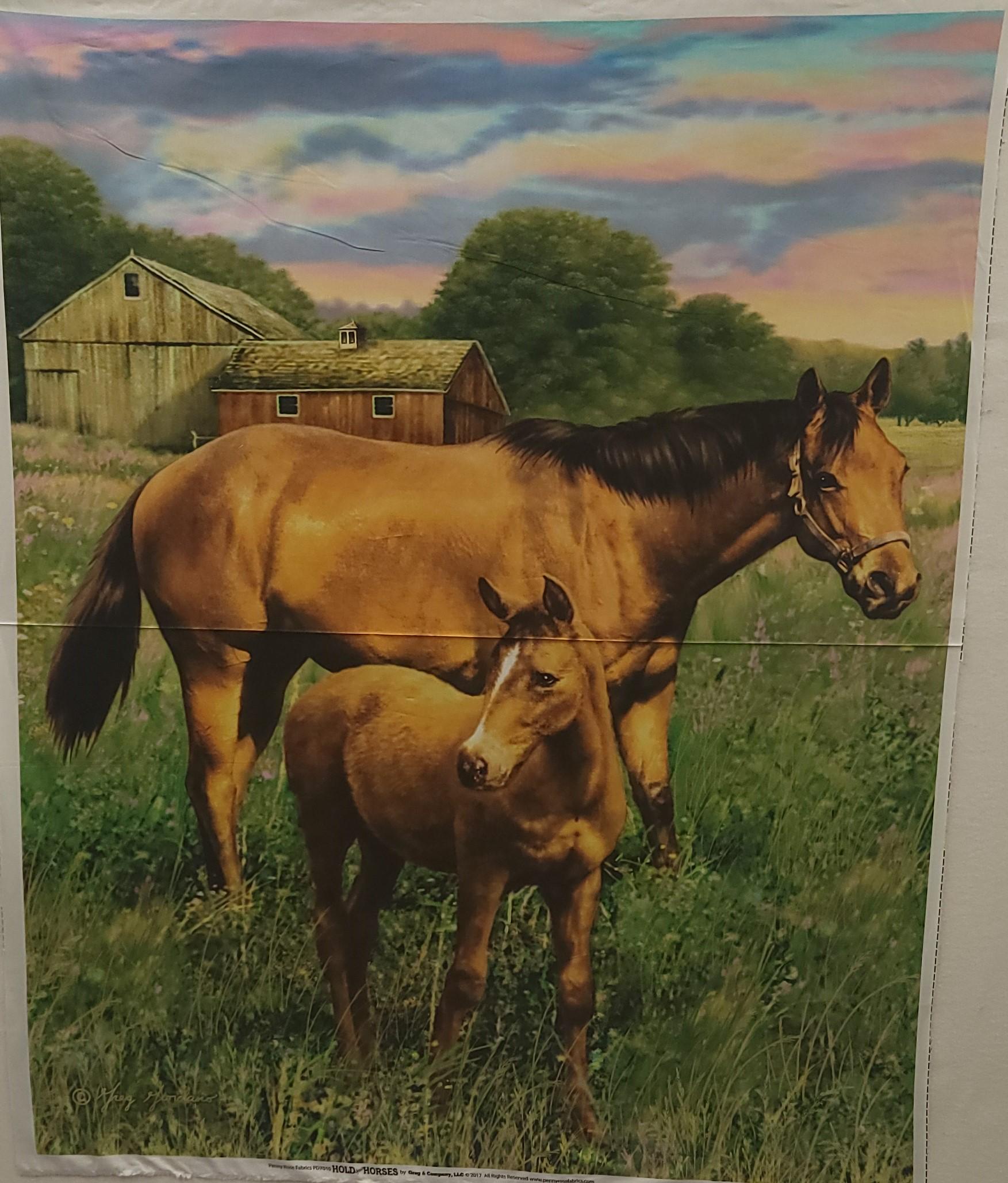 Hold your Horses, Mama and Baby Horse Quilt Fabric Panel By Penny Rose Fabrics