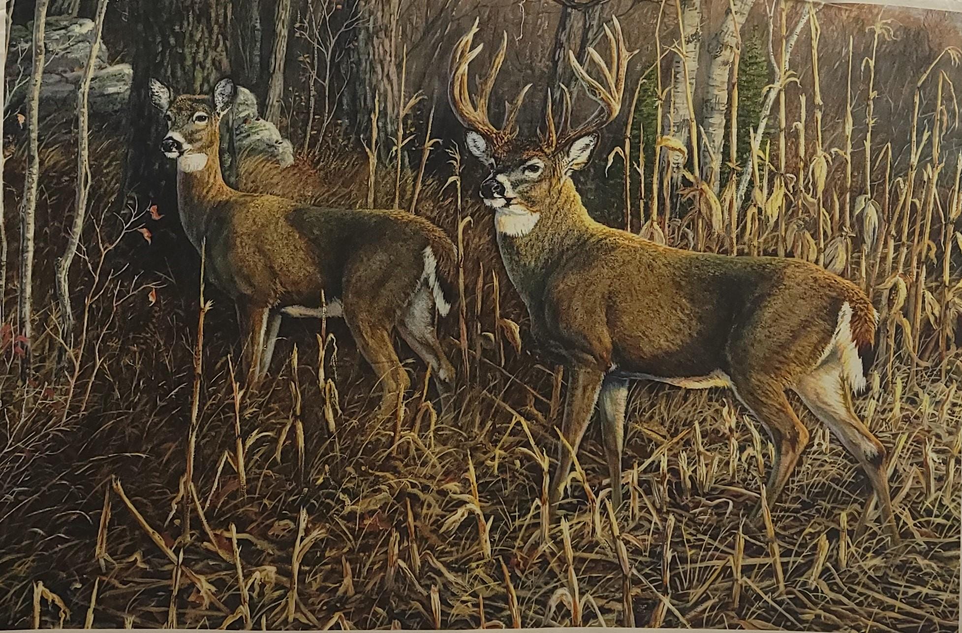 Heading for Cover Deer Quilt Fabric Panel ~ Northcott Fabrics