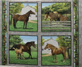 Horse Pillow Fabric Panel ~ Springs Creative