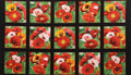 Poppies Flower Quilt Fabric Panel By Elizabeth Studio