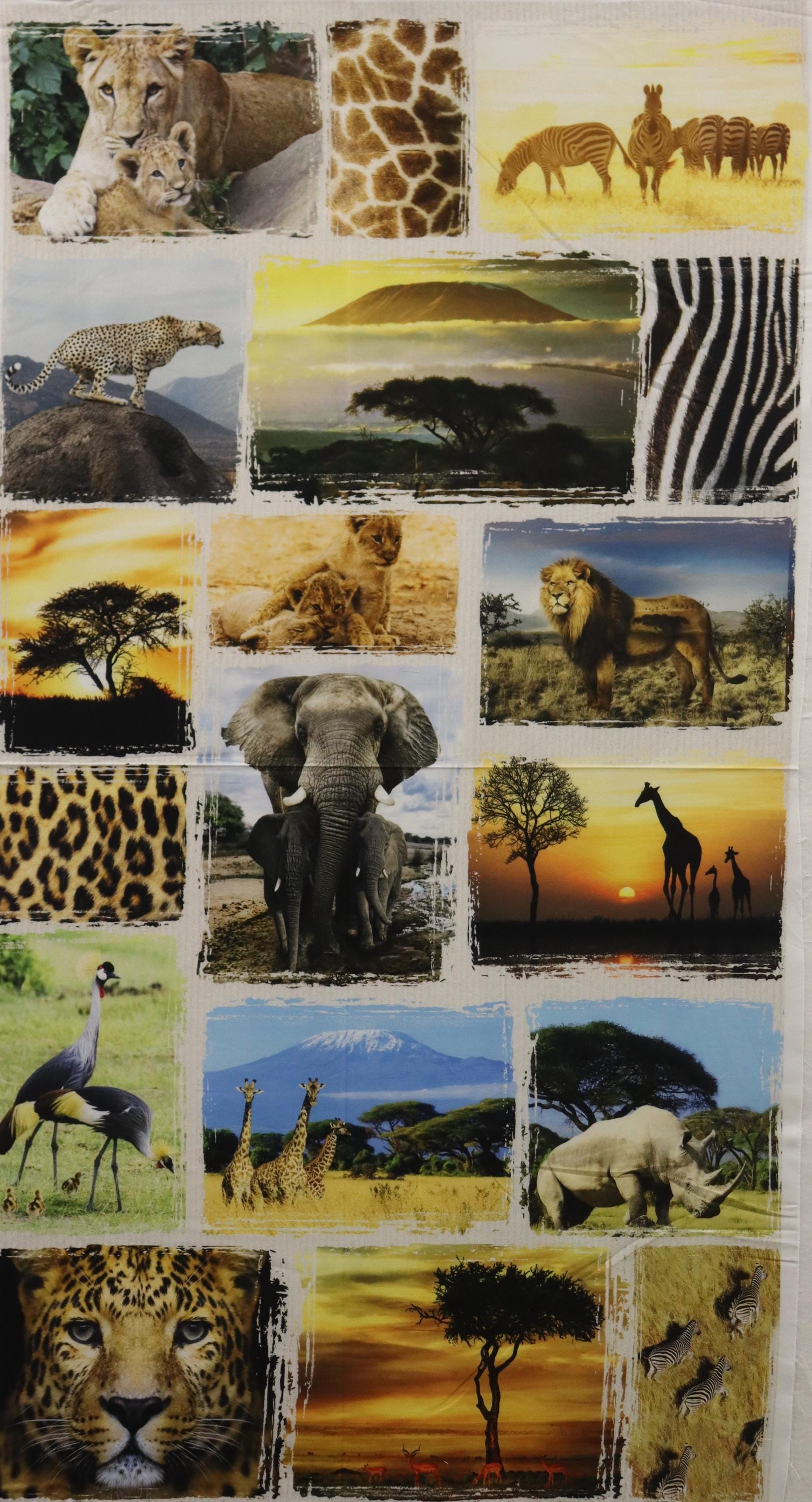 Wild Kingdom Africa Quilt Fabric Panel By Hoffman Fabrics