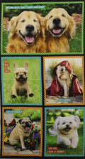 I Ruv You! Quilt Fabric Panel By Robert Kaufman